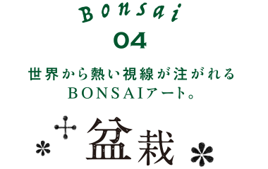 世界から熱い視線が注がれるBONSAIアート。盆栽