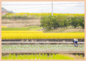 綾川町とは