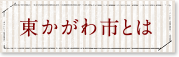 東かがわ市とは