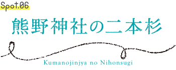 熊野神社の二本杉