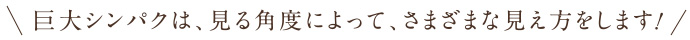巨大シンパクは、見る角度によって、さまざまな見え方をします！