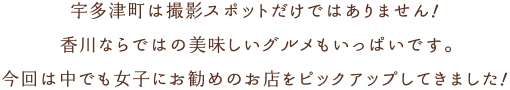 宇多津町は撮影スポットだけではありません！香川ならではの美味しいグルメもいっぱいです。今回は仲でも女子にお勧めのお店をピックアップしてきました。