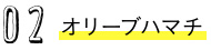 オリーブハマチ