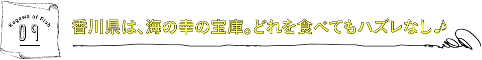 香川県は、海の幸の宝庫。どれを食べてもハズレなし♪