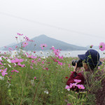 フラワーパーク浦島