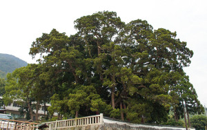 小豆島,宝生院