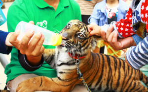 しろとり動物園,香川県,東かがわ市