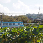 津島ノ宮駅