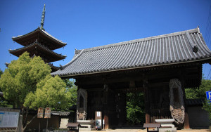 志度寺,東讃,神社